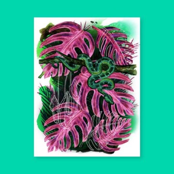 Jungles – Le boa Jungles – Le boa