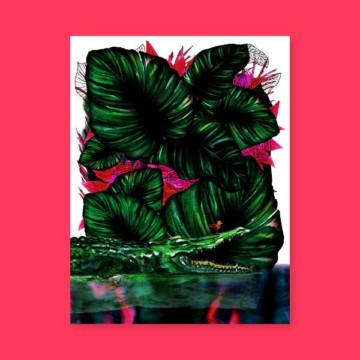 Jungles – Le croco Jungles – Le croco
