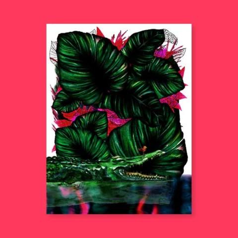 Jungles – Le croco Jungles – Le croco