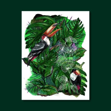 Jungles – Le toucan Jungles – Le toucan