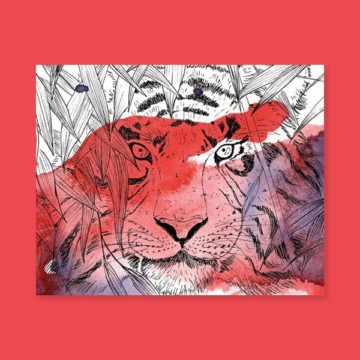 Horde – Tigre Horde – Tigre