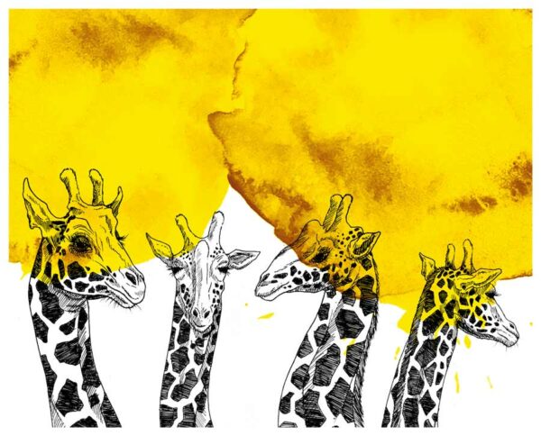 Juliette Seban – Horde, tirages giclée – Girafes